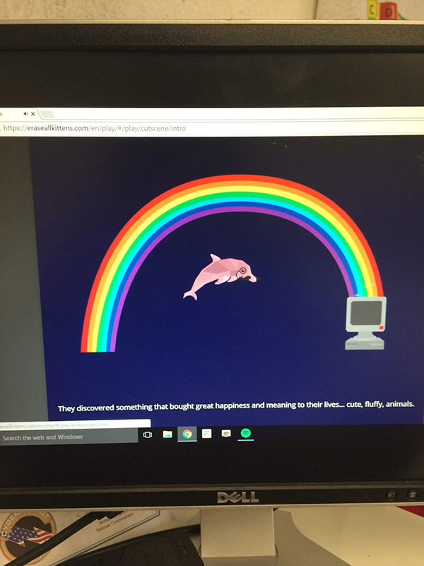 Computer screen showing a rainbow and pink dolphin